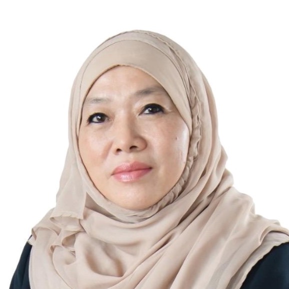 MI-Zaida